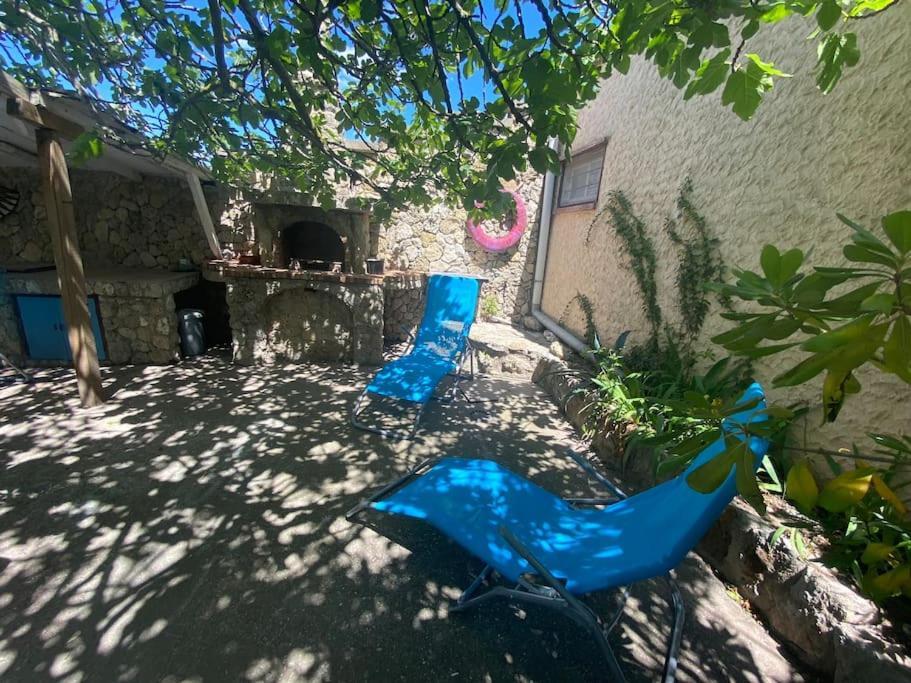 A L'Ombre Du Figuier ! Maisonnette Jardin / Parking / Proche Mer Frontignan Exteriér fotografie